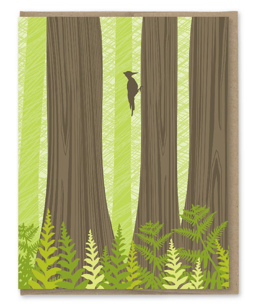 Redwood Forest Blank Note Set