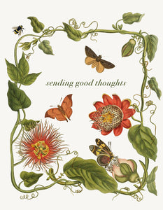 P. Flynn Design / Phun House - Sending Good Thoughts (leaves) • A-2 Greeting Card