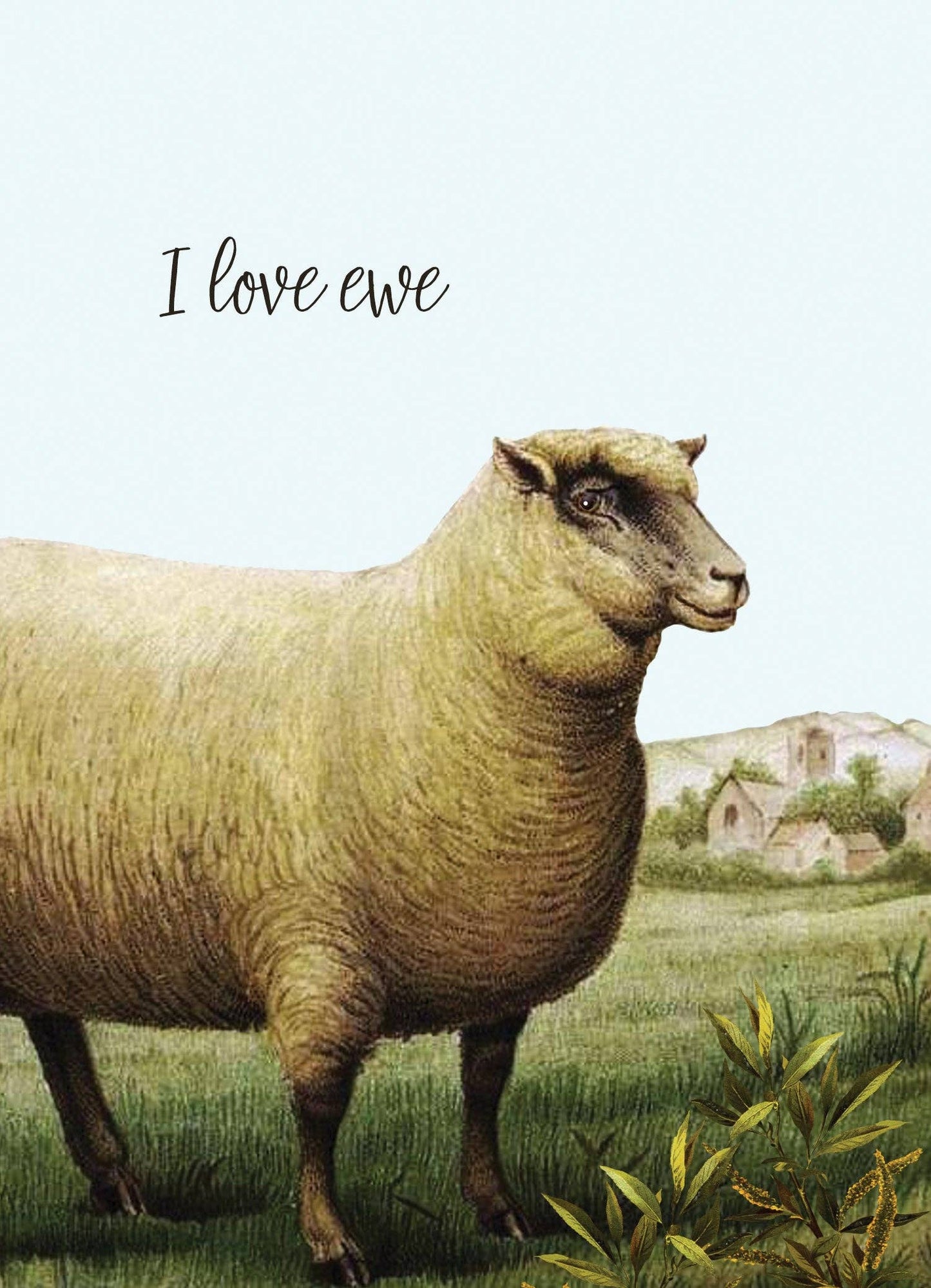 P. Flynn Design / Phun House - I Love Ewe • 5x7 Greeting Card