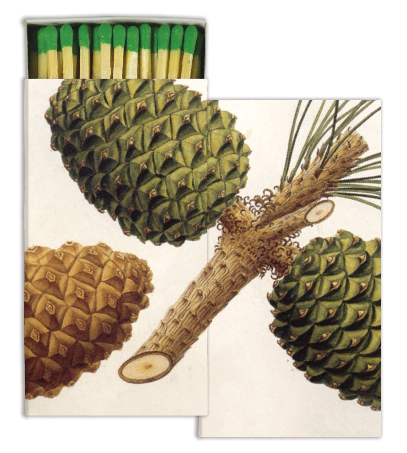 Matches - Pinecones