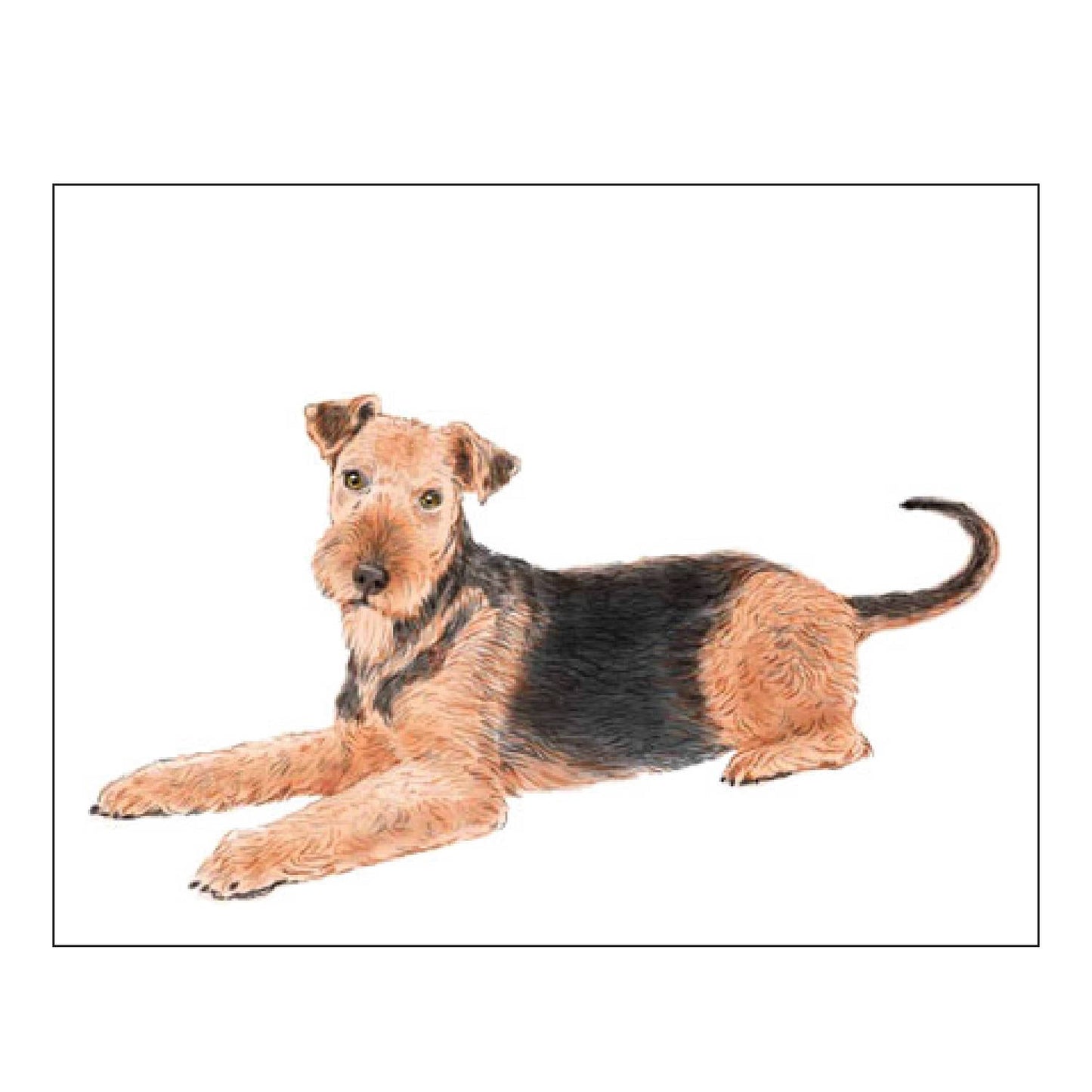 Donovan Designs - AIRDALE TERRIER FOLDOVER NOTE CARDS