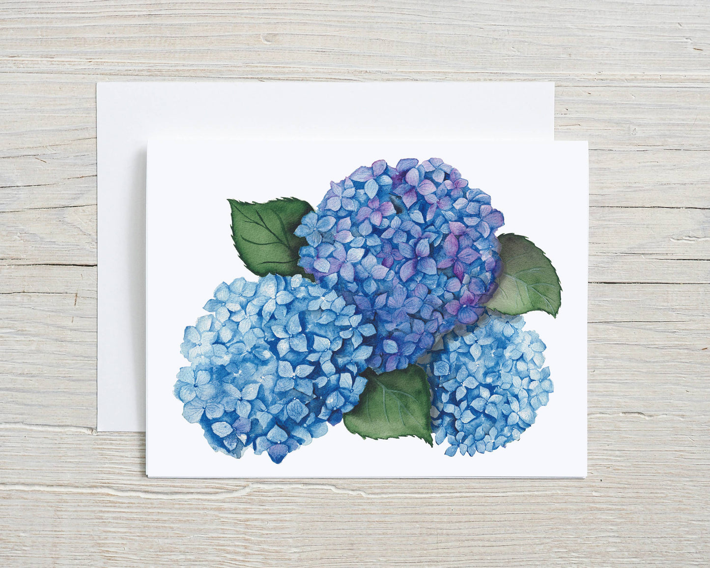 Liz Pope Designs - Plant hand painted greeting card, Hydrangea, Spring Card: Box Set of 6