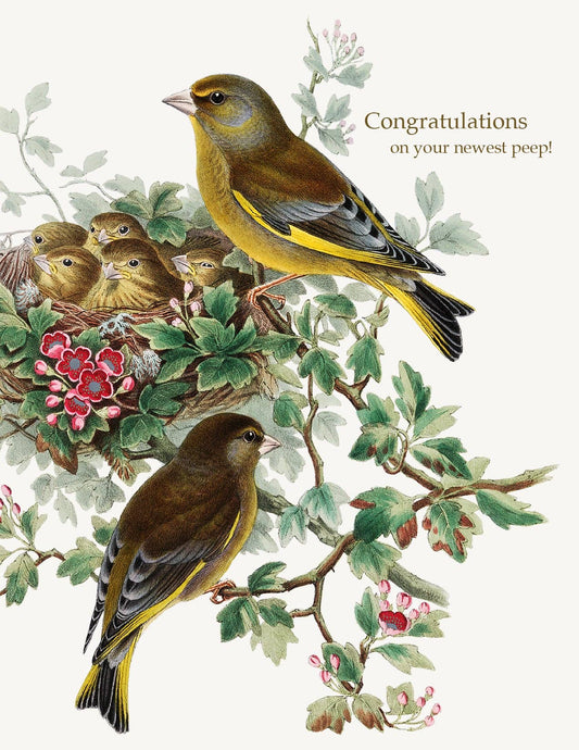P. Flynn Design / Phun House - Congratulations On Your Newest Peep • A-2 Greeting Card