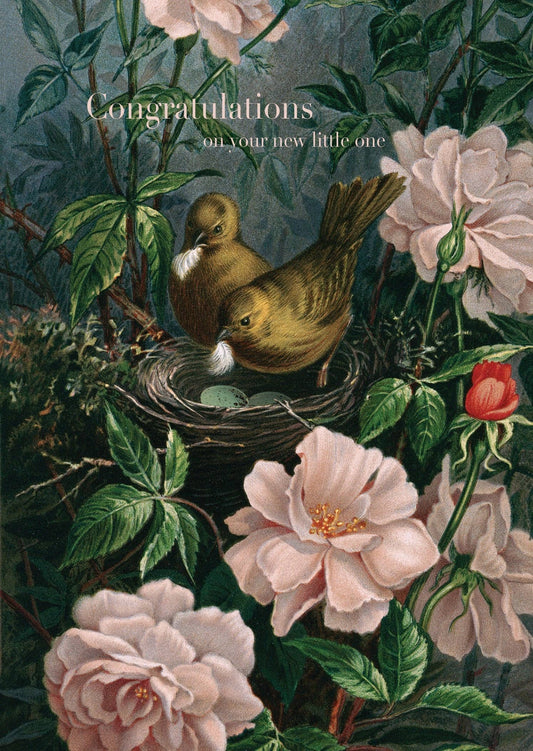 P. Flynn Design / Phun House - Congratulations On Your New  • 5x7 Greeting Card