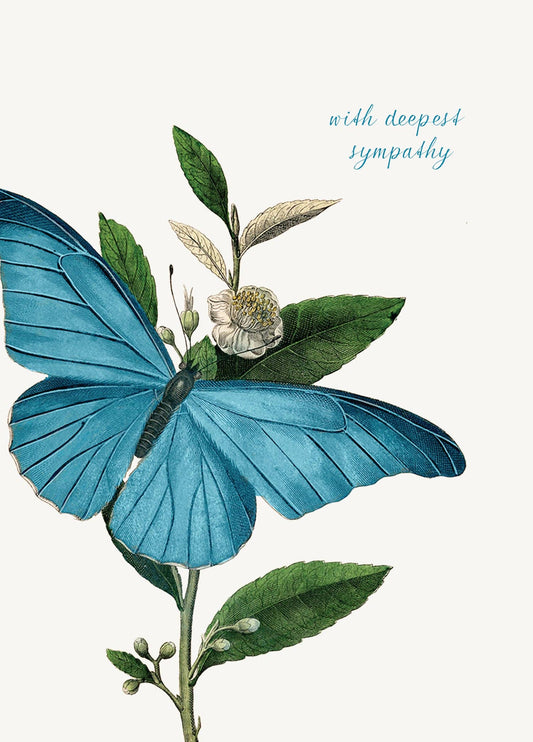 P. Flynn Design / Phun House - With Deepest Sympathy ( butterfly) • 5x7 Greeting Card