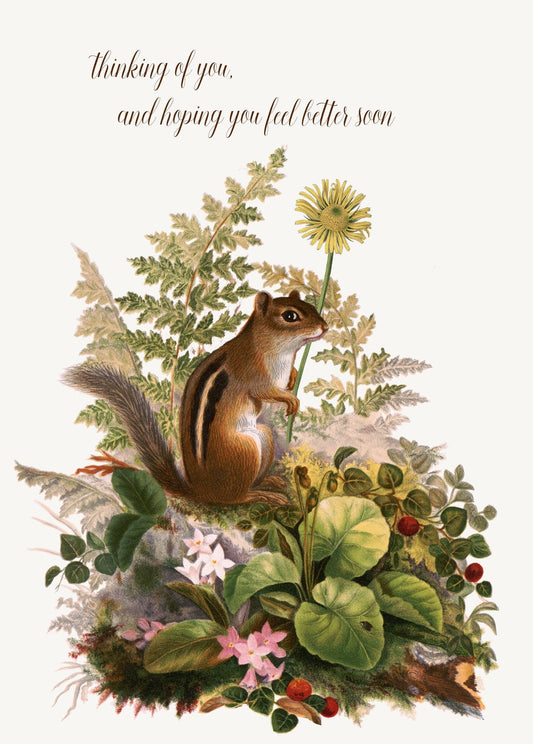 P. Flynn Design / Phun House - Thinking of you (chipmunk) • 5x7 Greeting Card
