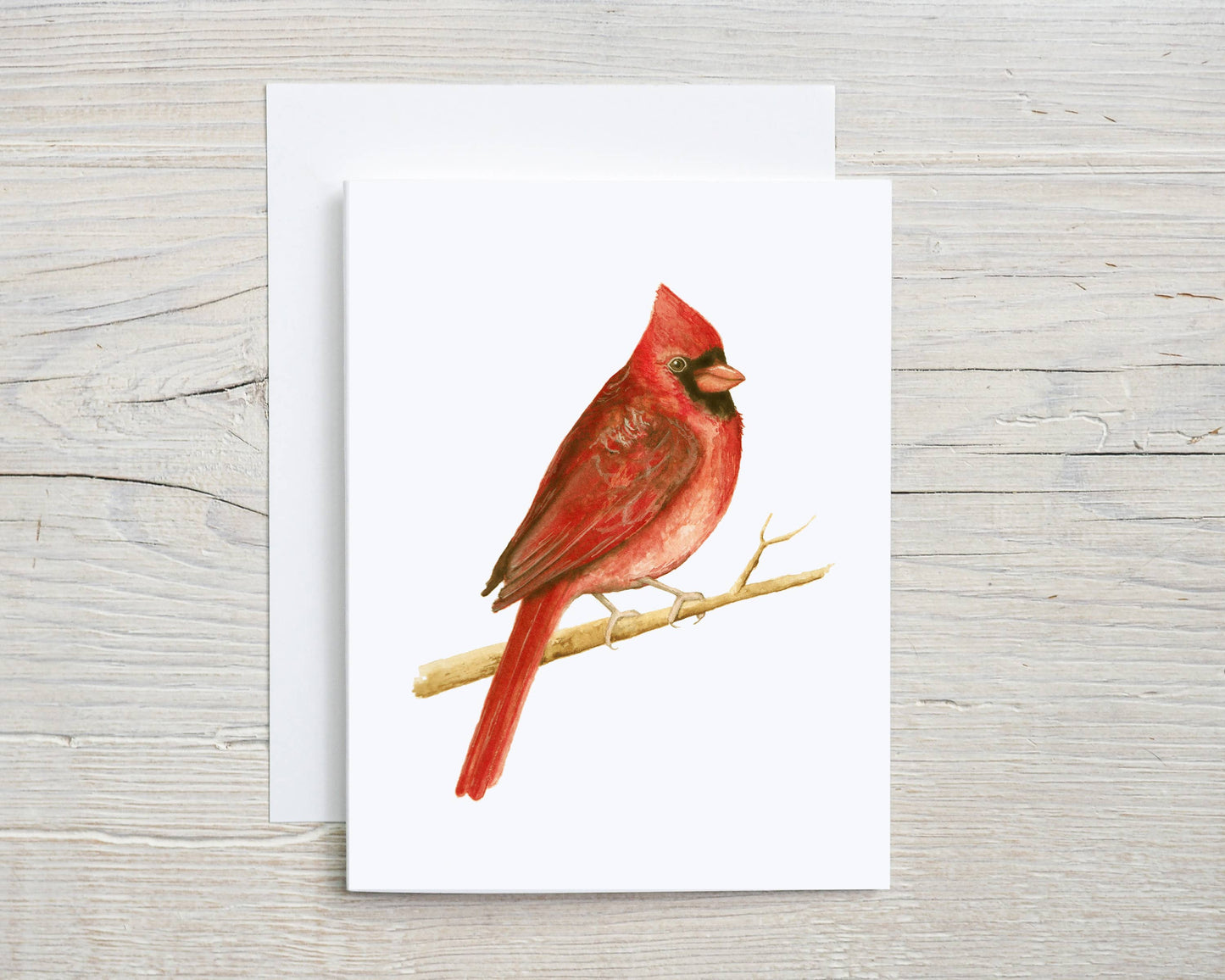 Liz Pope Designs - Bird hand painted greeting card, Cardinal, spring stationary: Box Set of 6