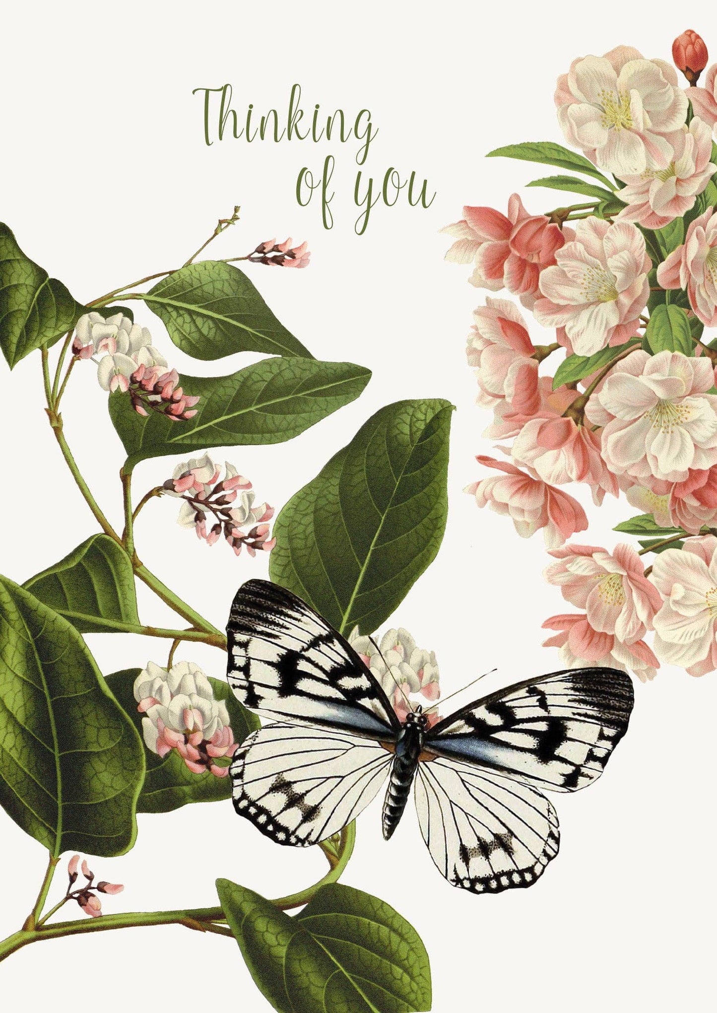 P. Flynn Design / Phun House - Thinking of you (flower butterfly) • 5x7 Greeting Card