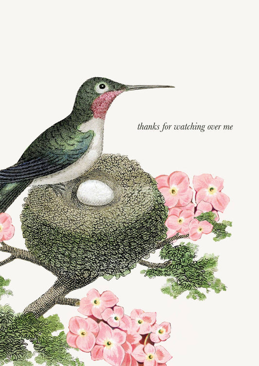 P. Flynn Design / Phun House - Thanks for Watching Over Me • 5x7 Greeting Card