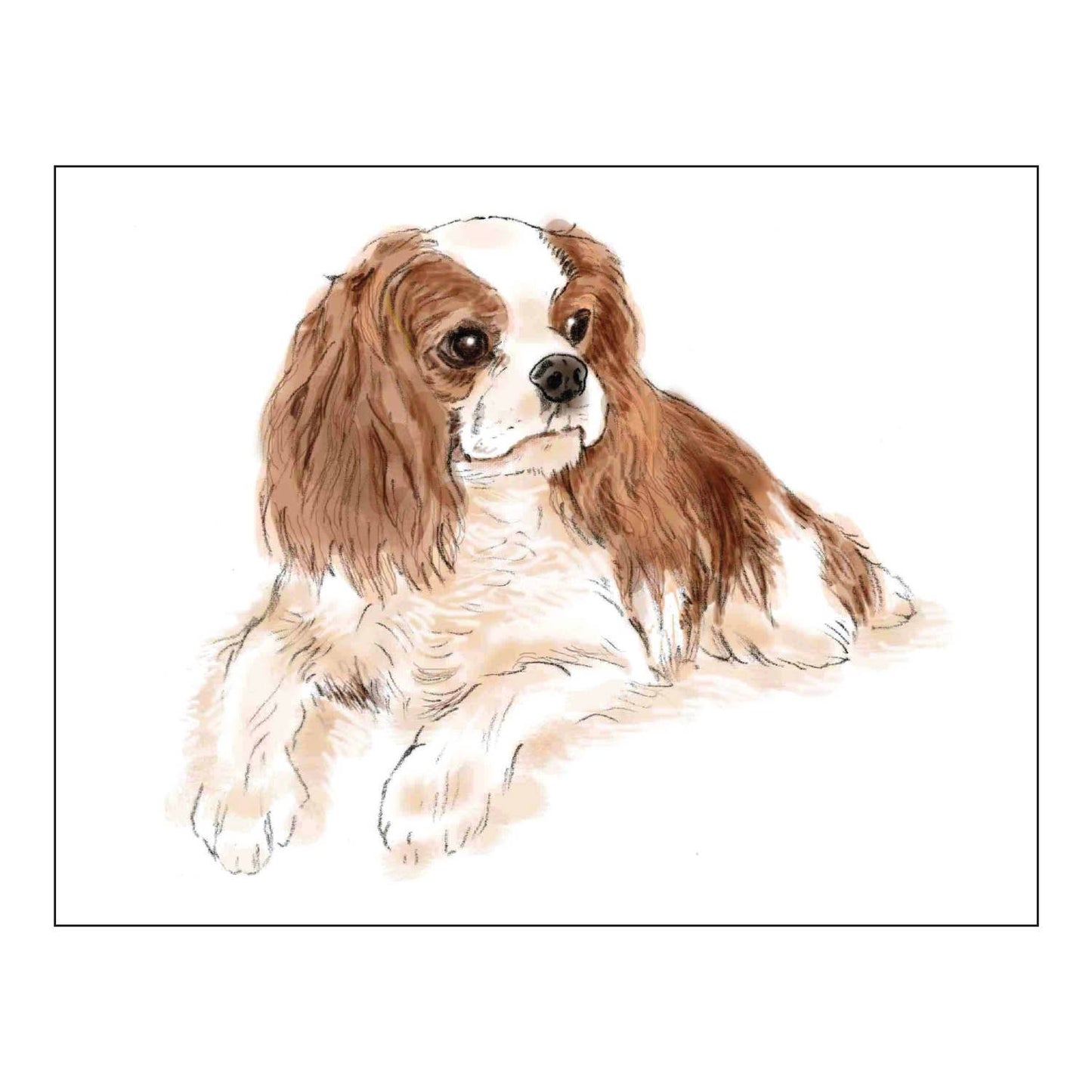 Donovan Designs - CAVALIER KING CHARLES SPANIEL FOLDOVER NOTE CARDS