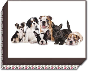 Crown Point Graphics - Group of Puppies - Boxed Note Cards Box of 15