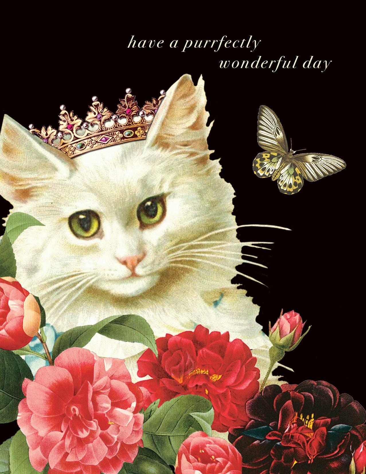 P. Flynn Design / Phun House - Have a purrfectly wonderful day • A-2 Greeting Card