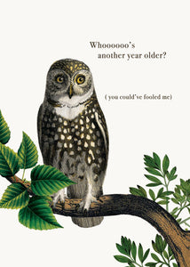 P. Flynn Design / Phun House - Whoooo's another year older? • 5x7 Greeting Card