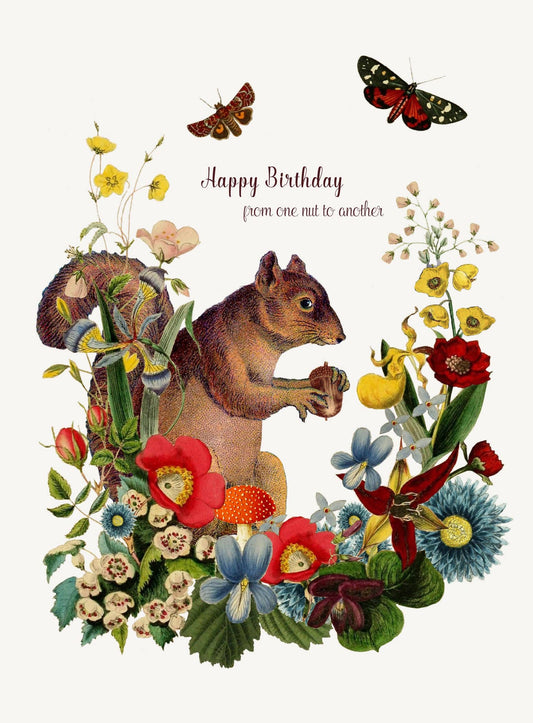P. Flynn Design / Phun House - Happy Birthday From One Nut • 5x7 Greeting Card