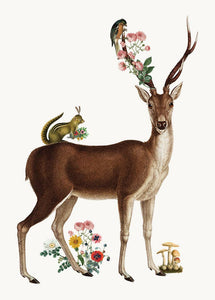 P. Flynn Design / Phun House - Deer• Mini Enclosure Card