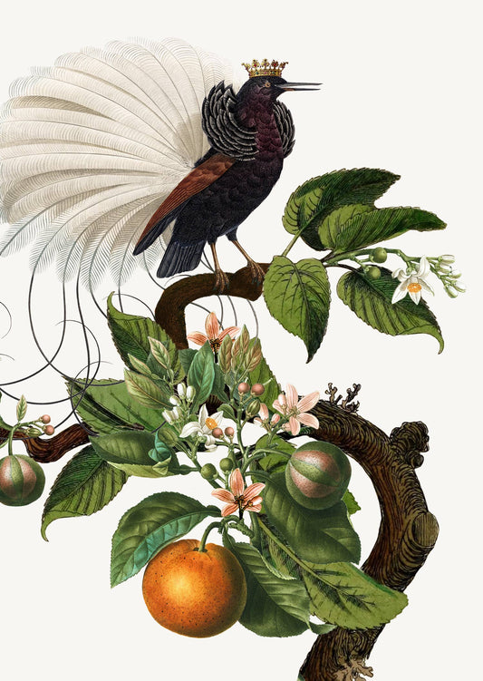 P. Flynn Design / Phun House - Bird of Paradise