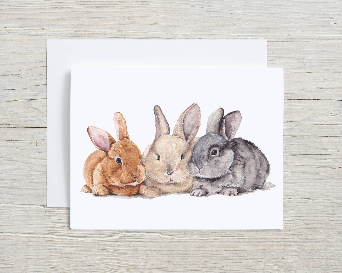 Liz Pope Designs - Hand painted greeting card, Bunnies, Spring Stationary: Box Set of 6