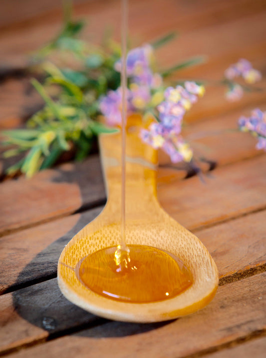 Cloister Honey - Sourwood Honey