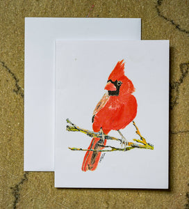 Southern Bird Studio - Cardinal Boxed Note Cards Set