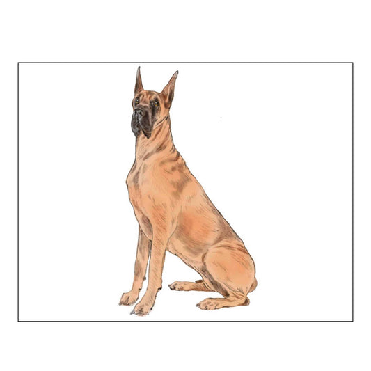 Donovan Designs - GREAT DANE FOLDOVER NOTE CARDS